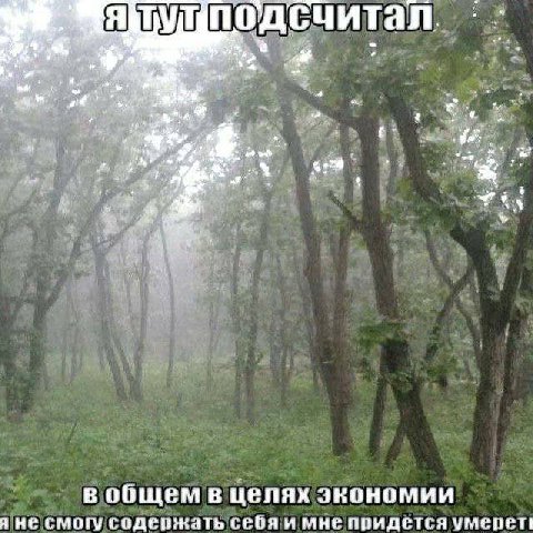 no считал we a wat А в в общем в целях экономии я не смогу содержать себя и мне придется умерети
