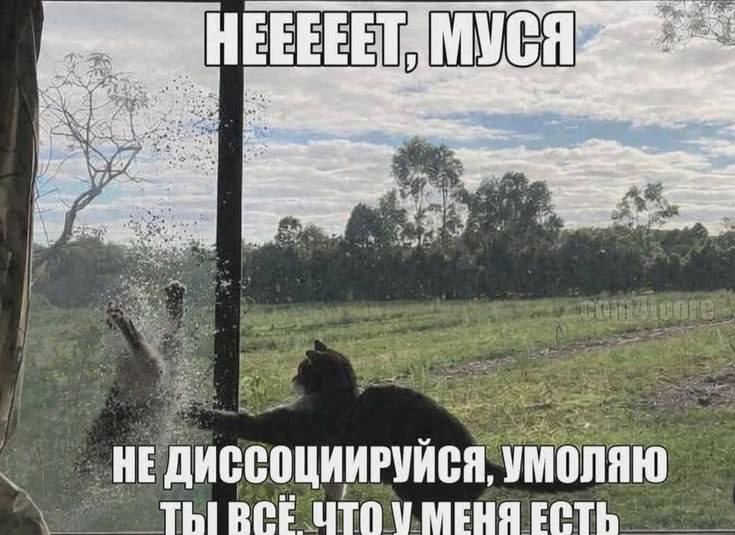 rad 5; у a bet we the, у HE ДИССОЦИИРУЙСЯ, УМОЛЯЮ ThIBCE ЦТО У МЕНЯ ЕСТЬ