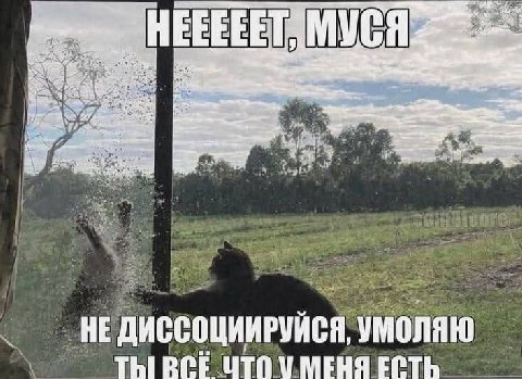 rad 5; у a bet we the, у HE ДИССОЦИИРУЙСЯ, УМОЛЯЮ ThIBCE ЦТО У МЕНЯ ЕСТЬ