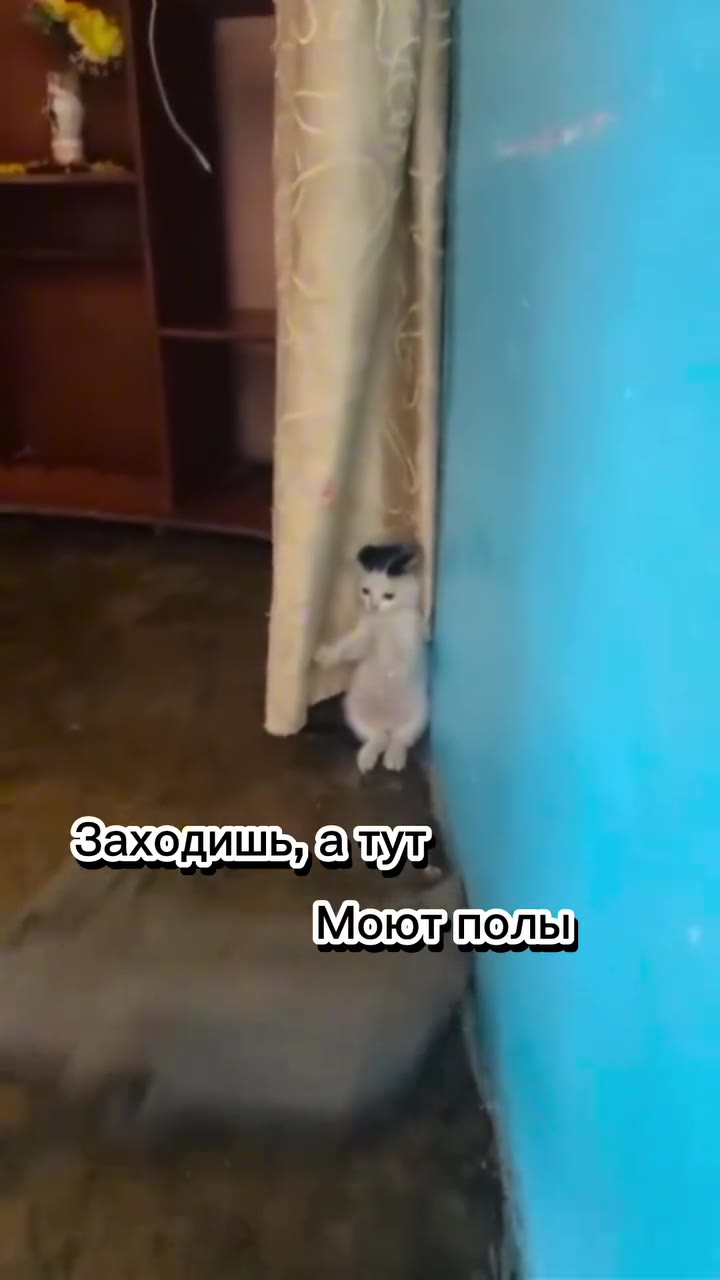 Заходишьуа aw Заходишьхагудя