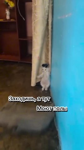 Заходишьуа aw Заходишьхагудя