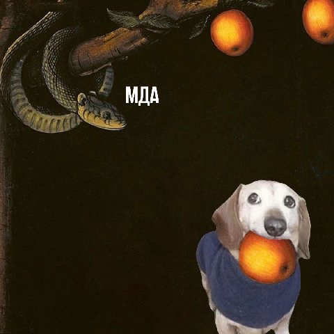 МДА
