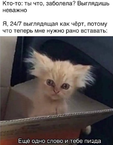 Кто-то: ты что, заболела? Выглядишь неважно Я, 24/7 выглядящая как чёрт, потому что теперь мне нужно рано вставать: Еще одно слово и тебе пизда