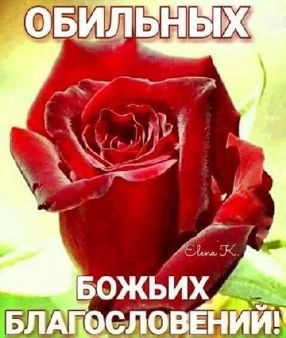 БИЛ БЫ „А БОЖЬИХ БЛАКОСЛОВЕНИИГ