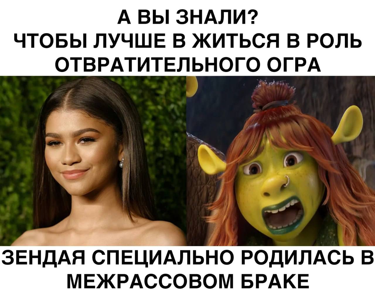 А ВЫ ЗНАЛИ? ЧТОБЫ ЛУЧШЕ В ЖИТЬСЯ В РОЛЬ ОТВРАТИТЕЛЬНОГО ОГРА ЗЕНДАЯ СПЕЦИАЛЬНО РОДИЛАСЬ В МЕЖРАССОВОМ БРАКЕ