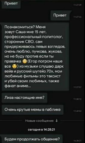 Привет Привет Познакомиться? Меня зовут Саша мне 15 лет, профессиональный политолог, сторонник СВО, сам придерживаюсь левых взглядов, очень люблю, пучкова, жукова, но не буду против если ты правачка (
