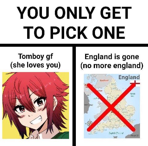 Tomboy England is gone (she loves you) (no more england) Scotland England 4