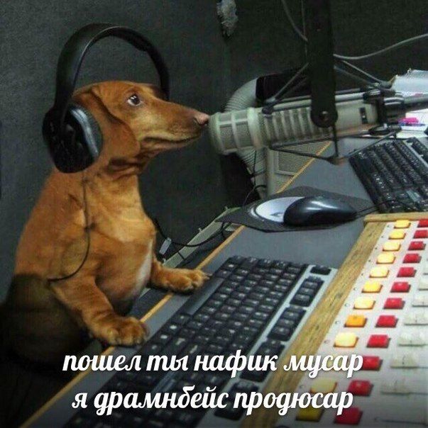 пошел ты нафик я драмндейс продюсар