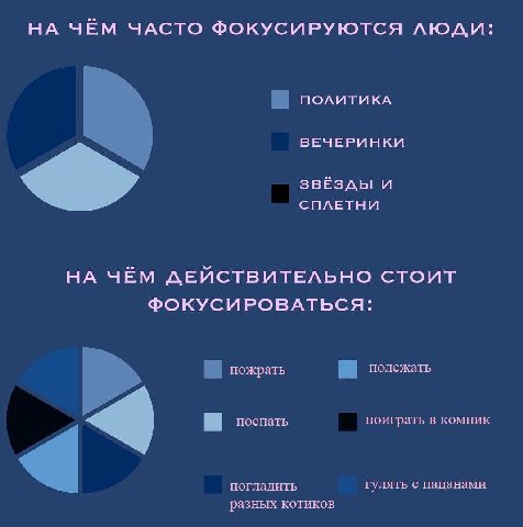 НА ЧЁМ ЧАСТО ФОКУСИРУЮТСЯ ЛЮДИ: ПОЛИТИКА ВЕЧЕРИНКИ и СПЛЕТНИ НА ЧЁМ ДЕЙСТВИТЕЛЬНО СТОИТ ФОКУСИРОВАТЬСЯ: пожрать полежать поспать поиграть в компик погладить гулять с пацанами разных котиков
