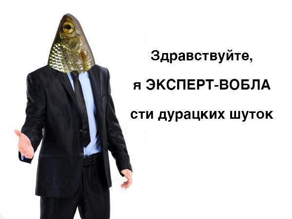 Здравствуйте, я ЭКСПЕРТ-ВОБЛА сти дурацких шуток