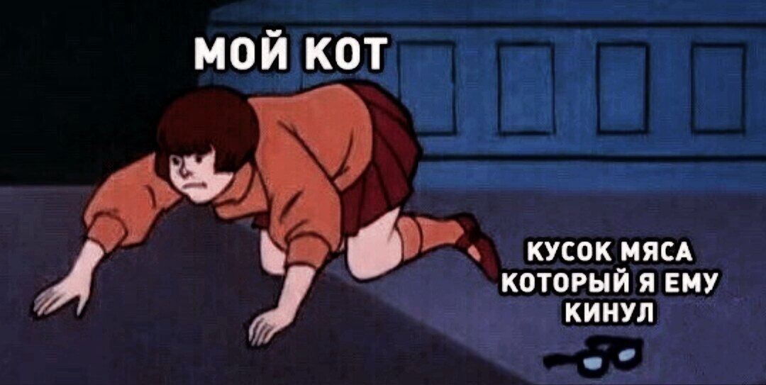 МОЙ КОТ КУСОК МЯСА КОТОРЫЙ Я ЕМУ КИНУЛ