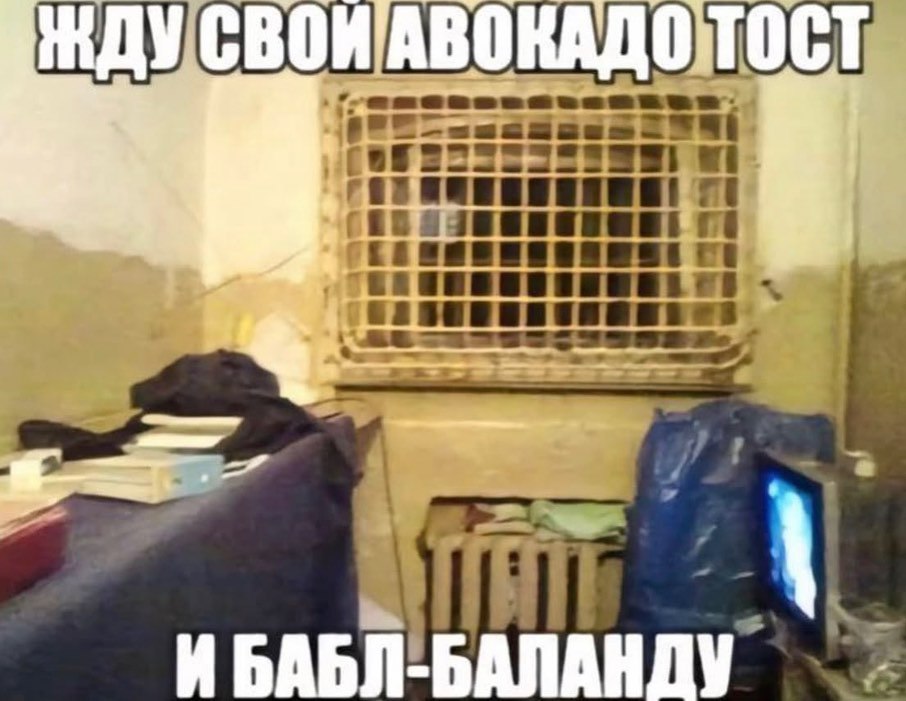 HAV СВОИ'АВОКАДОТОСТ a