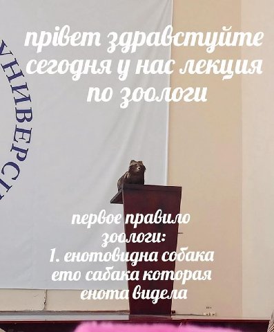 пр@ет зар сегодня у wie) nepboe правило 1. енотовидна собака ето cadaka которая