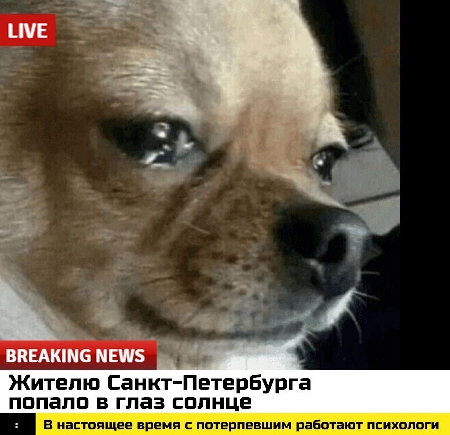 ИМЕ 4 у a 4 BREAKING NEWS Жителю Санкт-Петербурга попало в глаз солнце В настоящее время с потерпевшим работают психологи