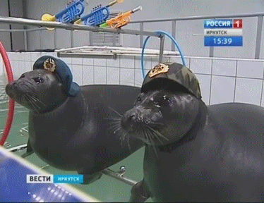 a4 A a 5 ВЕСТИ a