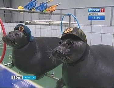 a4 A a 5 ВЕСТИ a