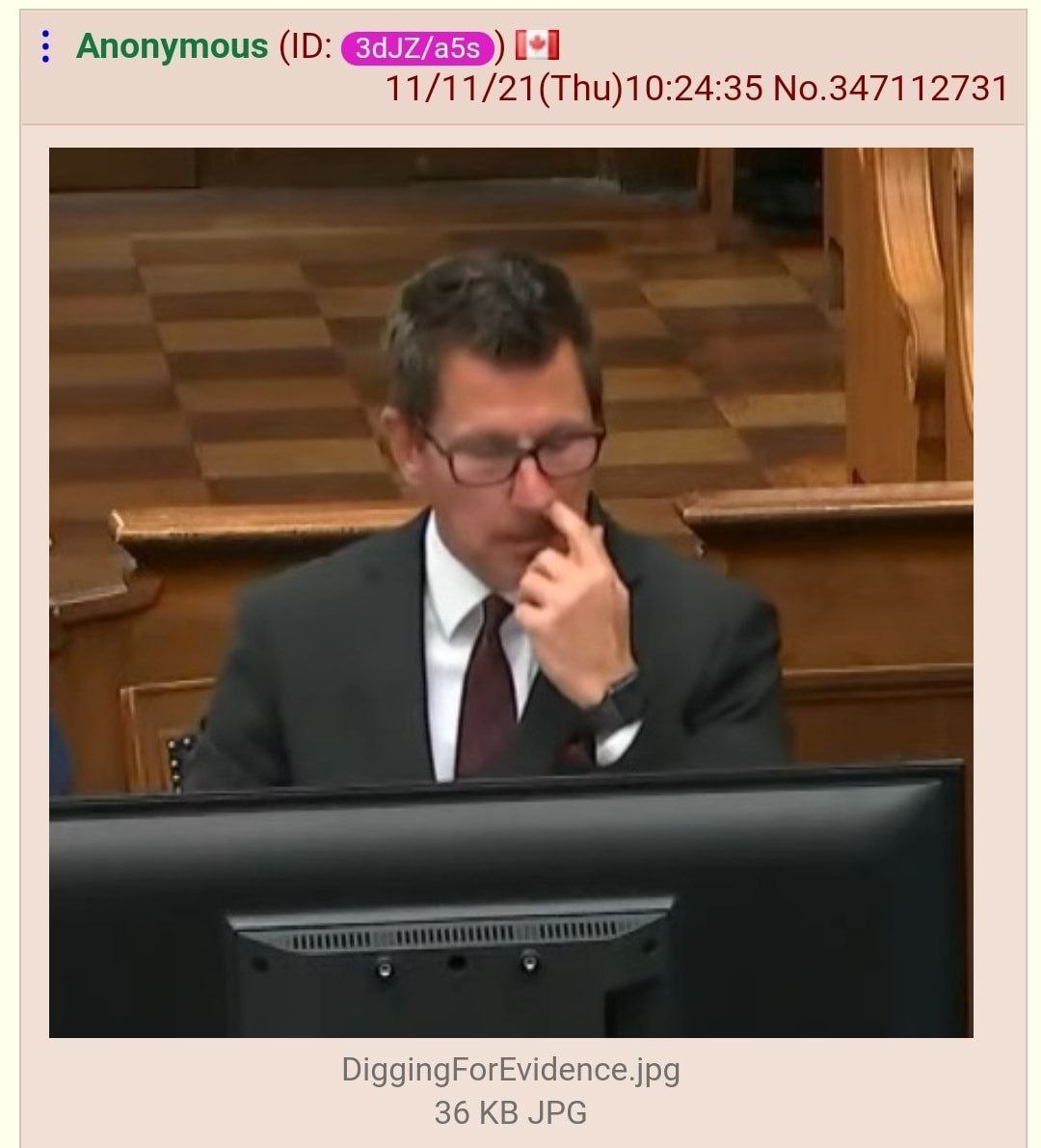 Anonymous [+1 11/11/21(ТВи)10:24:35 No.347112731 DiggingForEvidence.jpg 36 JPG