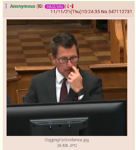 Anonymous [+1 11/11/21(ТВи)10:24:35 No.347112731 DiggingForEvidence.jpg 36 JPG