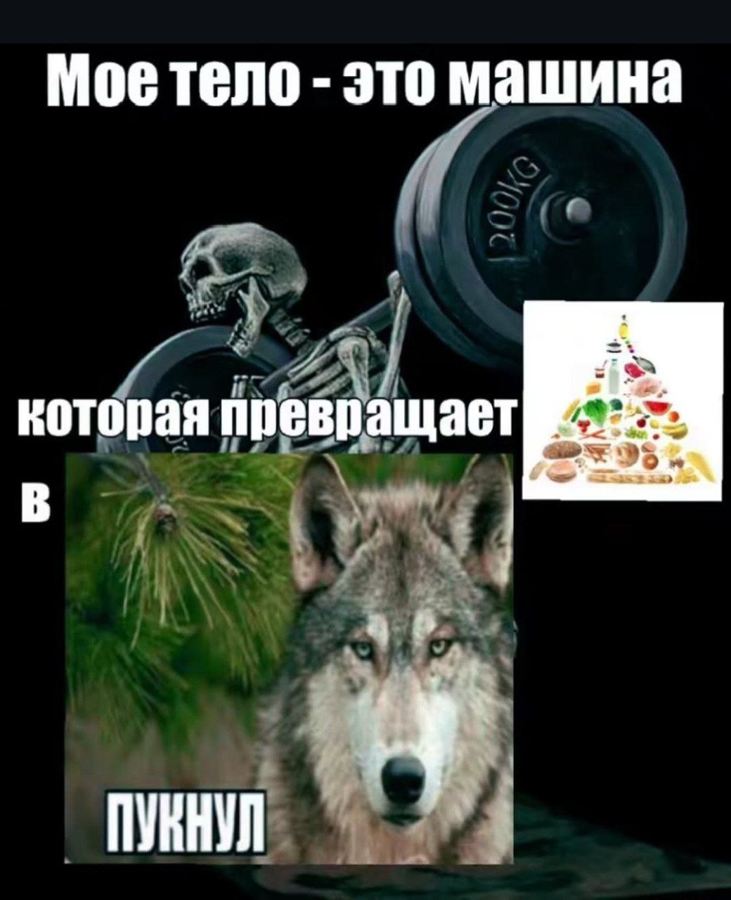 Моетело это машина которая превращает В