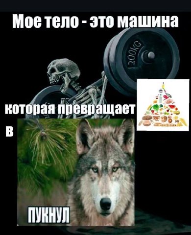 Моетело это машина которая превращает В