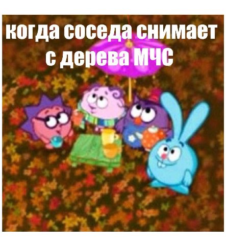 когда соседа снимает с дерева