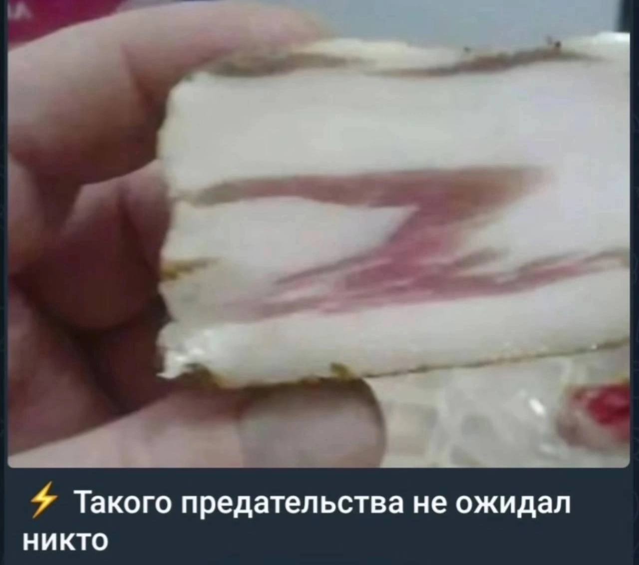 Такого предательства не ожидал НИКТО