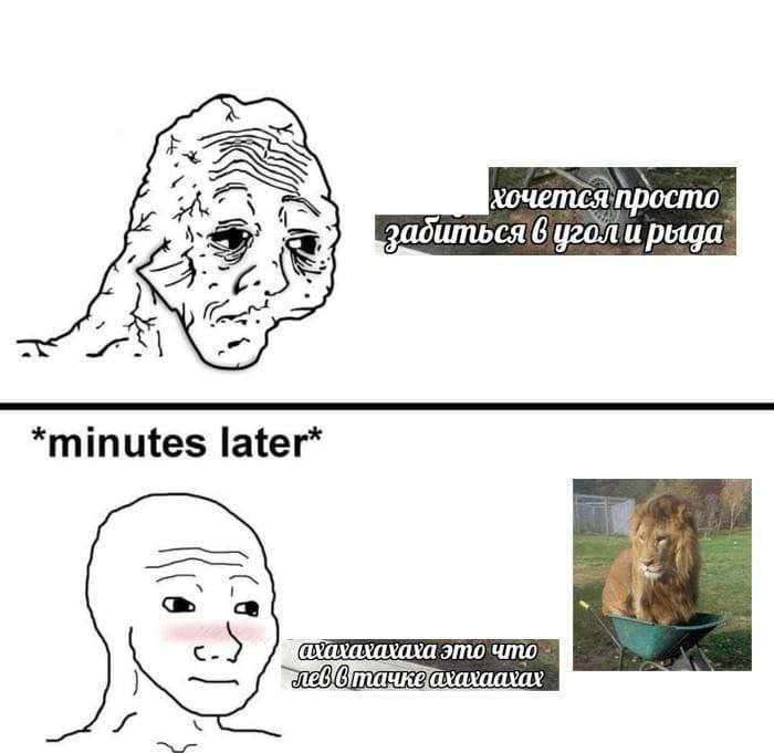 хочетсяпросто задиться В уголи minutes later