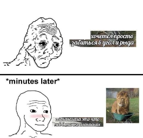 хочетсяпросто задиться В уголи minutes later