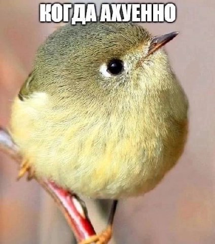 КОГДА АКУЕННО we Ale i) it Я
