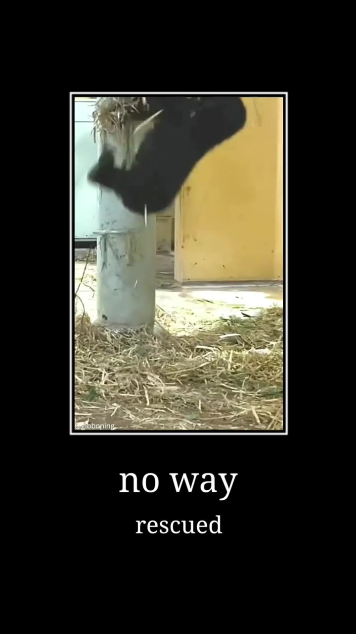 по way rescued