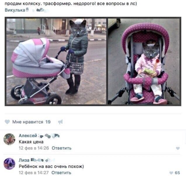 продам коляску. трасформер. недорого! все вопросы в Викулька of “3 to Мне нравится 19 Алексей Какая цена 12 фев 8 14:26 Ответить Лиза Be Ребёнок на вас очень похож) 12 14:27 Ответить 65
