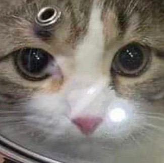 ral