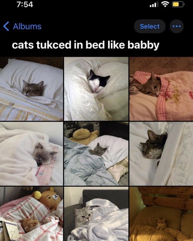 7:54 cats tukced In bed like babby у