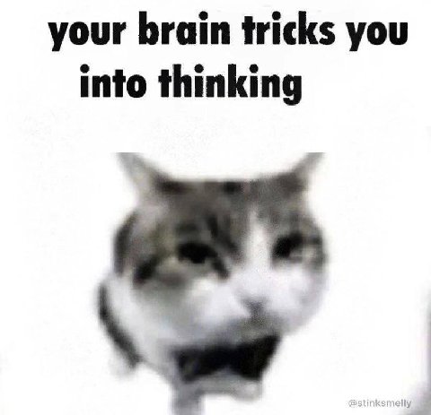 your brain tricks you into thinking
