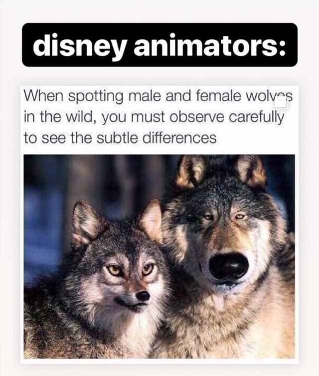 disney animators: When spotting male and female in the wild, you must observe carefully to see the subtle differences 4 я я,