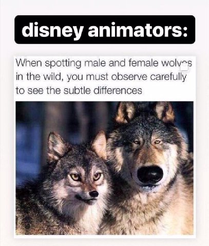disney animators: When spotting male and female in the wild, you must observe carefully to see the subtle differences 4 я я,