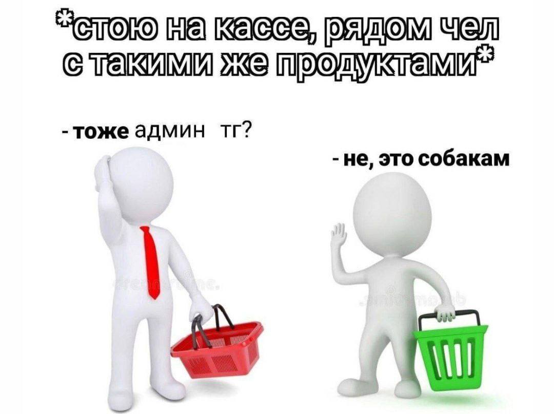 “CTOIO чел тоже админ не, это собакам