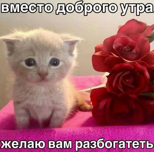 вместо желаю вам разбогатеть