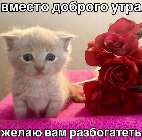 вместо желаю вам разбогатеть