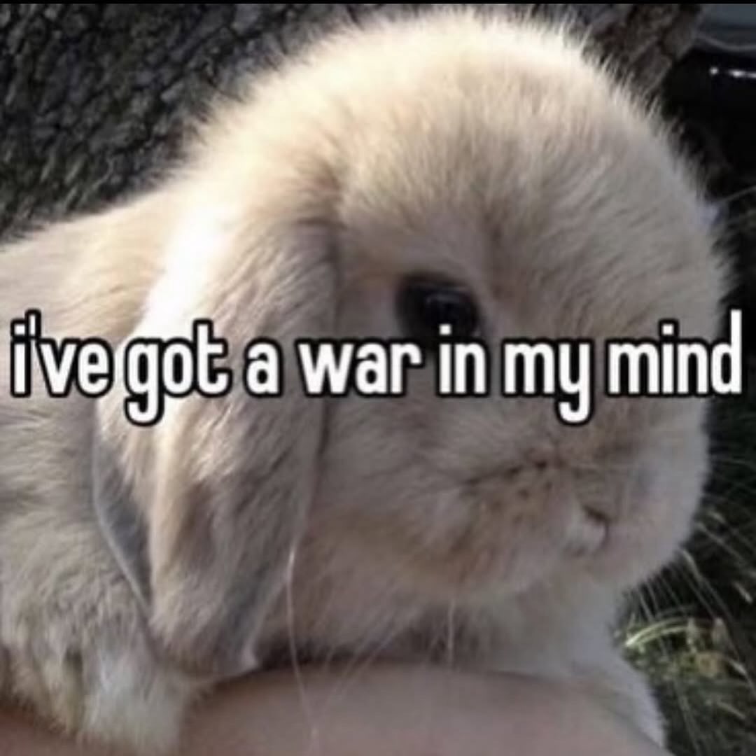 а war in my mind