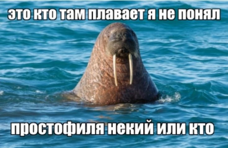 там плавает я не понял это Me простофиля некий или