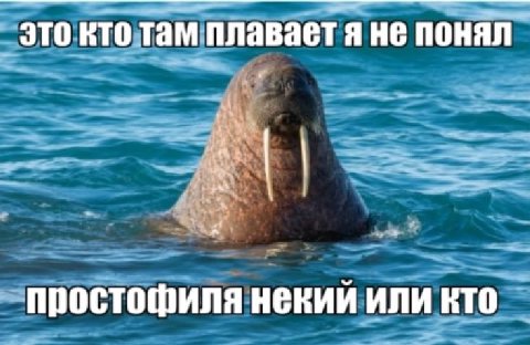 там плавает я не понял это Me простофиля некий или