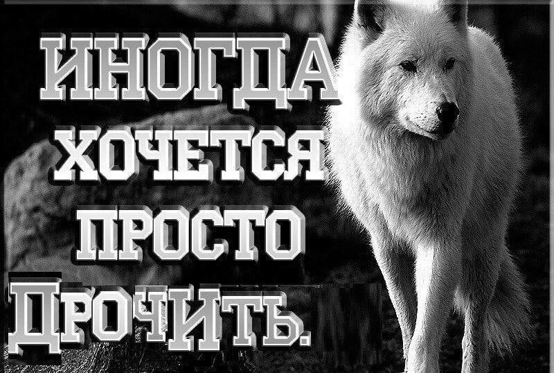 ЧЕТ