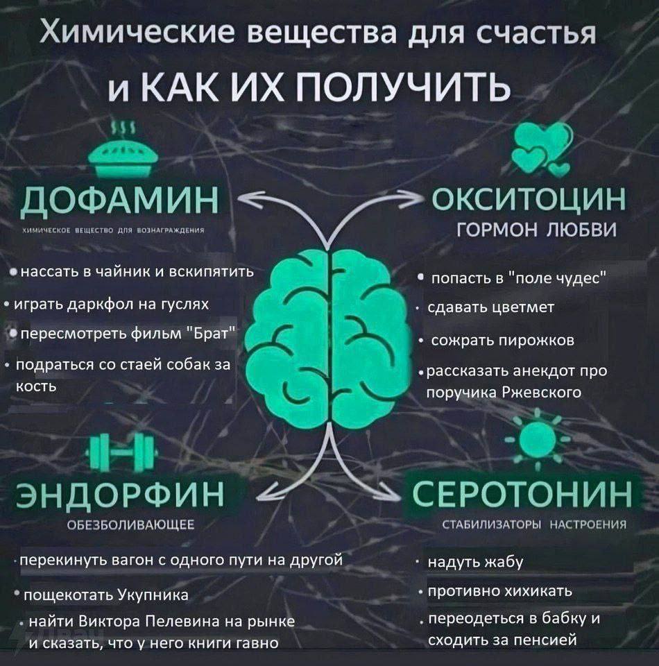 Химические вещества для счастья ПОЛУЧИТЬ $55 ОКСИТОЦИН ДОФАМИН ЕСКОЕ ДПЯ ВОЗНАГРАЖДЕНИЯ ГОРМОН ЛЮБВИ нассать в чайник и вскипятить попасть в "поле чудес" играть даркфол на гуслях сдавать цветмет перес
