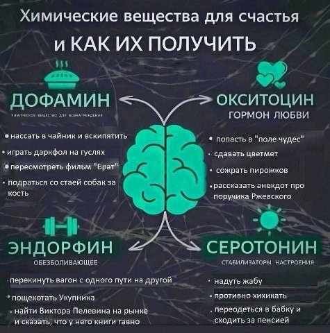 Химические вещества для счастья ПОЛУЧИТЬ $55 ОКСИТОЦИН ДОФАМИН ЕСКОЕ ДПЯ ВОЗНАГРАЖДЕНИЯ ГОРМОН ЛЮБВИ нассать в чайник и вскипятить попасть в "поле чудес" играть даркфол на гуслях сдавать цветмет перес