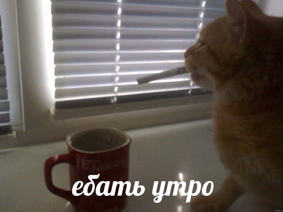 ебать утро