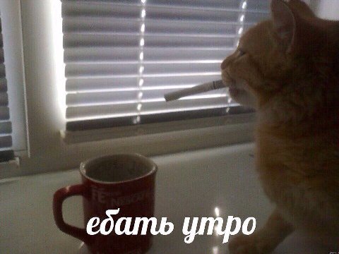 ебать утро