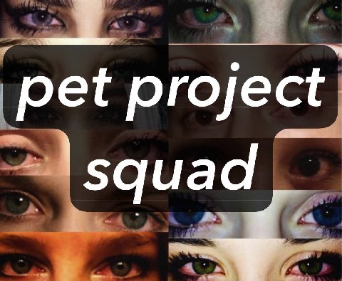 pet project