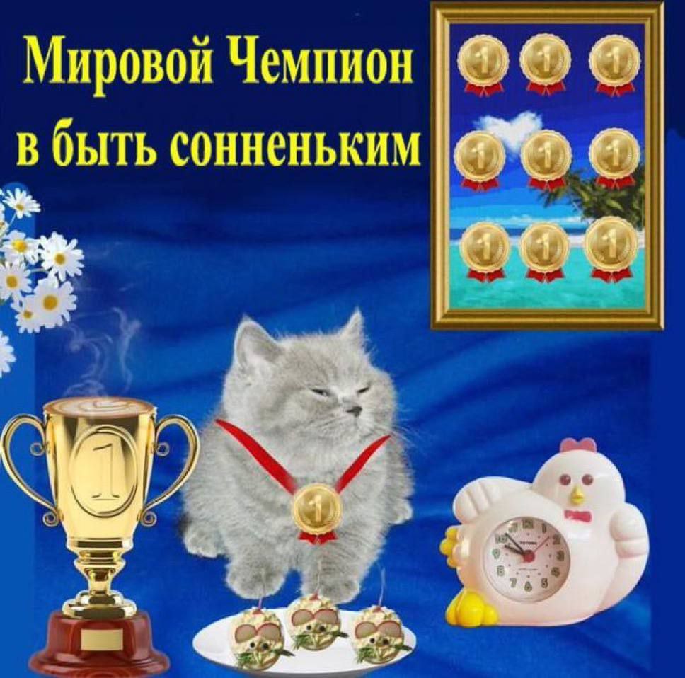 Мировой Чемпион в быть сонненьким