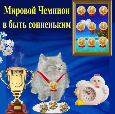Мировой Чемпион в быть сонненьким